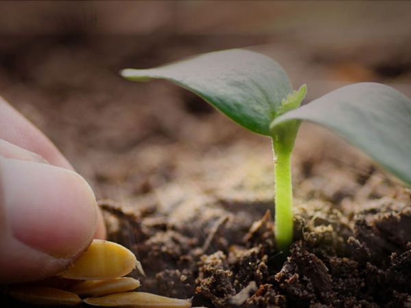 购买水溶肥产品，你需要了解的几个注意要点